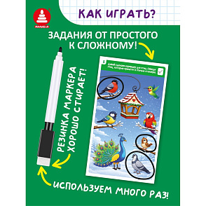 Игра "Игры с маркером. Окружающий мир. Тесты. Готов ли ребёнок к школе?" – портал поставщиков НСППО - 2
